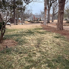 Essential-Spring-Cleanup-in-Oxford-MS 7